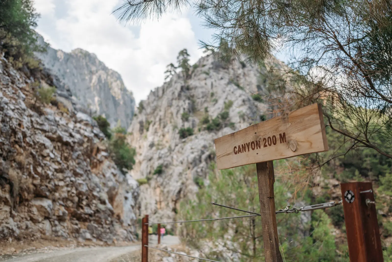 A wooden signpost beside a mountain road, with arrows marking the way ahead.